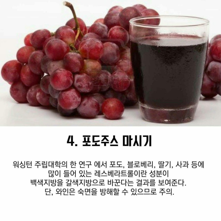잠자면서 살빼는 5가지 방법 | 인스티즈