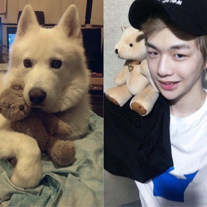 강아지중에 가장 사람닮은듯한 강다니엘 사진모음.jpg | 인스티즈