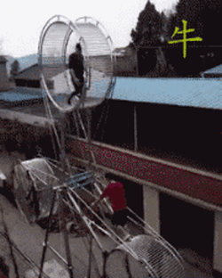 대륙의 서커스단.gif | 인스티즈