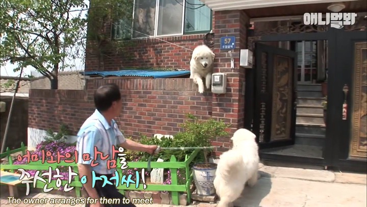 모른척 지나가면 짖는 삼식이.jpg | 인스티즈