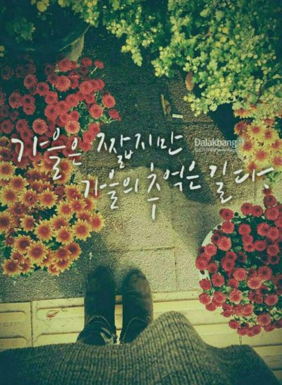 오소 이미지