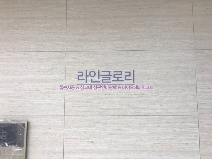 샤이니플라워 이미지