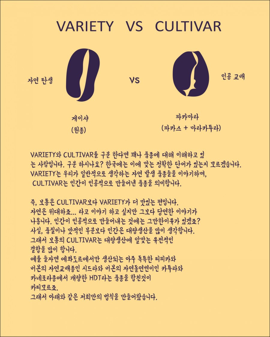 커피브라이언 이미지
