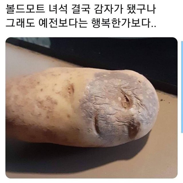 행복한감자 이미지