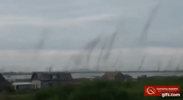 토네이도?? ㄴㄴ 모기가 이상 증식해서 모기토네이도...ㄷㄷㄷ.gif | 인스티즈