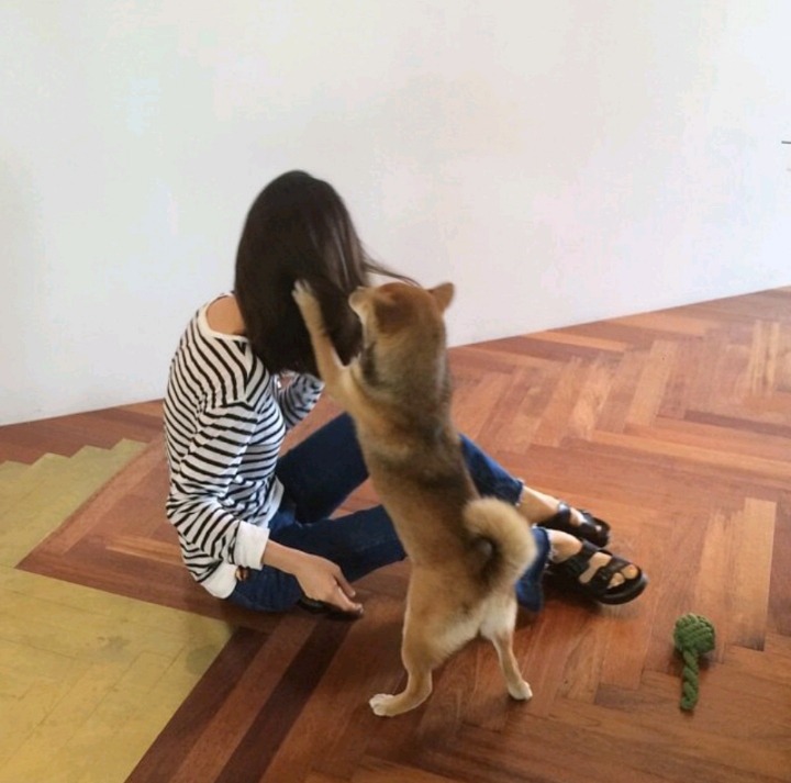 정유미와 시바견 탁구 | 인스티즈