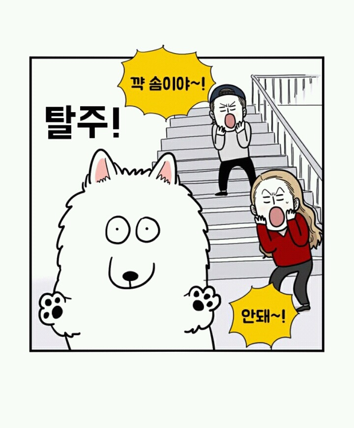 사람들이 극한견주봐도 잘 모르는 사실 | 인스티즈