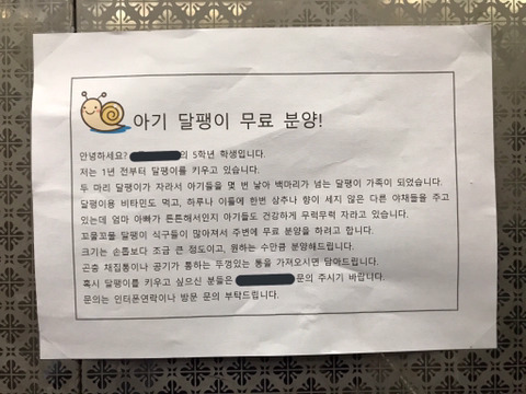 귀엽고 다정한 달팽이 분양 안내문 | 인스티즈