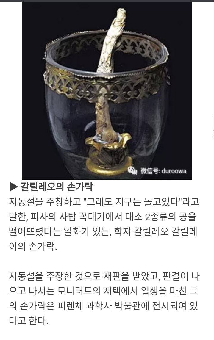 위인들의 남아있는 신체 일부 | 인스티즈