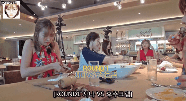 사나 vs 후추크랩 ㅋㅋㅋㅋㅋ.gif | 인스티즈