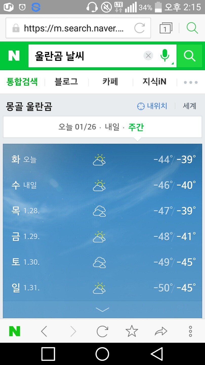 혹독한 추위에 죽은 동물들..jpg | 인스티즈
