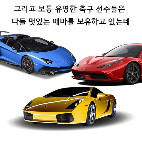 캉테 귀엽지 않니 | 인스티즈
