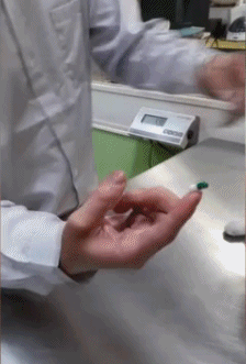 고양이 알약 먹이는 방법.gif | 인스티즈