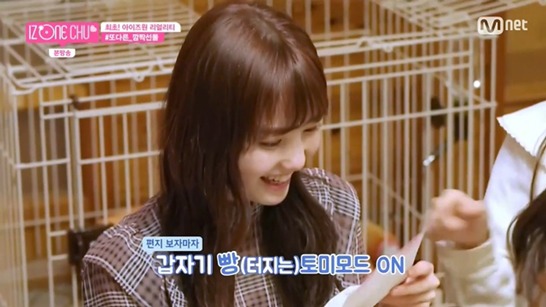 아이즈원, 세계 만국공통인 현실남매 | 인스티즈