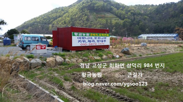 황금농원 이미지