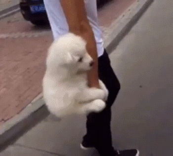 잠 못 이룰 싸이코 패스 테스트 | 인스티즈