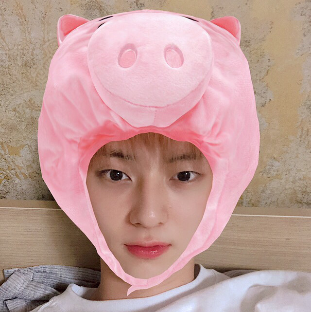 엠씨스노우 이미지