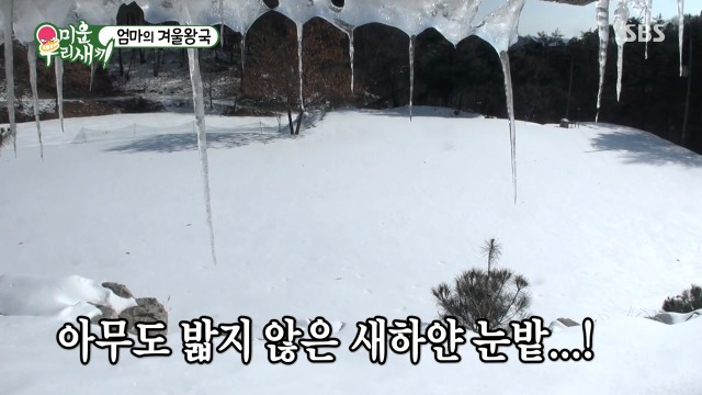 태어나서 실제로 눈 처음 본 샘 오취리 엄마 | 인스티즈