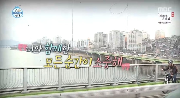 [나혼자산다] 전현무와 17살 반려견 또또 이야기.jpg | 인스티즈