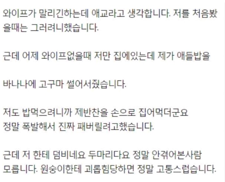 와이프가 키우는 원숭이때문에 스트레스인 남편 | 인스티즈