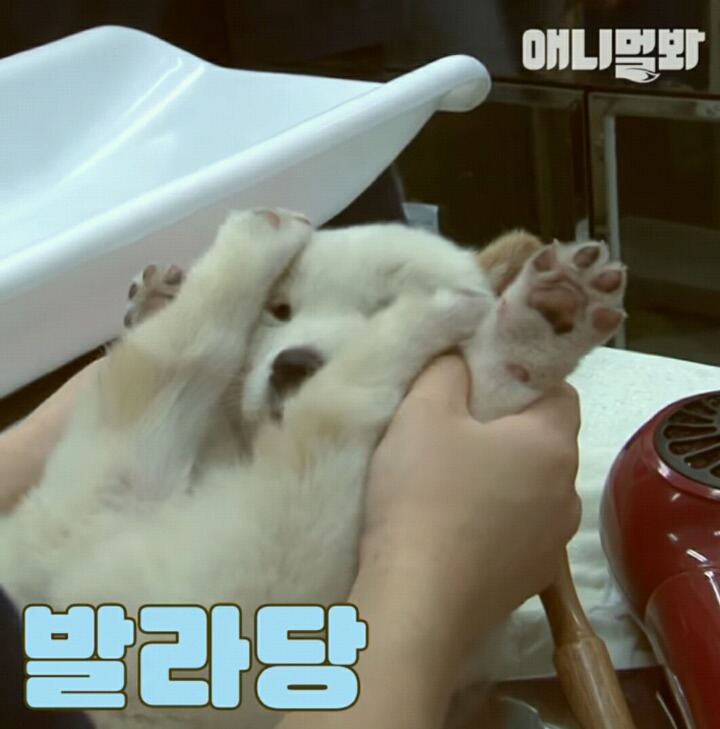 공감 이미지