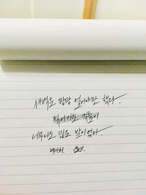 단어들은 잔인했고 사랑은 시작하기도 전에 명심해야 할 것들로 가득했다 | 인스티즈