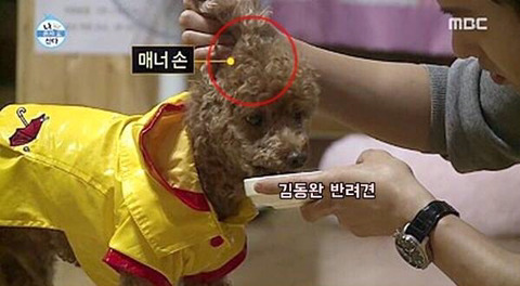 신개념 매너손 3대장 | 인스티즈