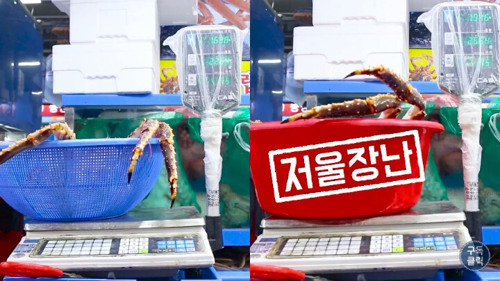 대게나 킹크랩살때 바가지 안당하는 방법!!! | 인스티즈