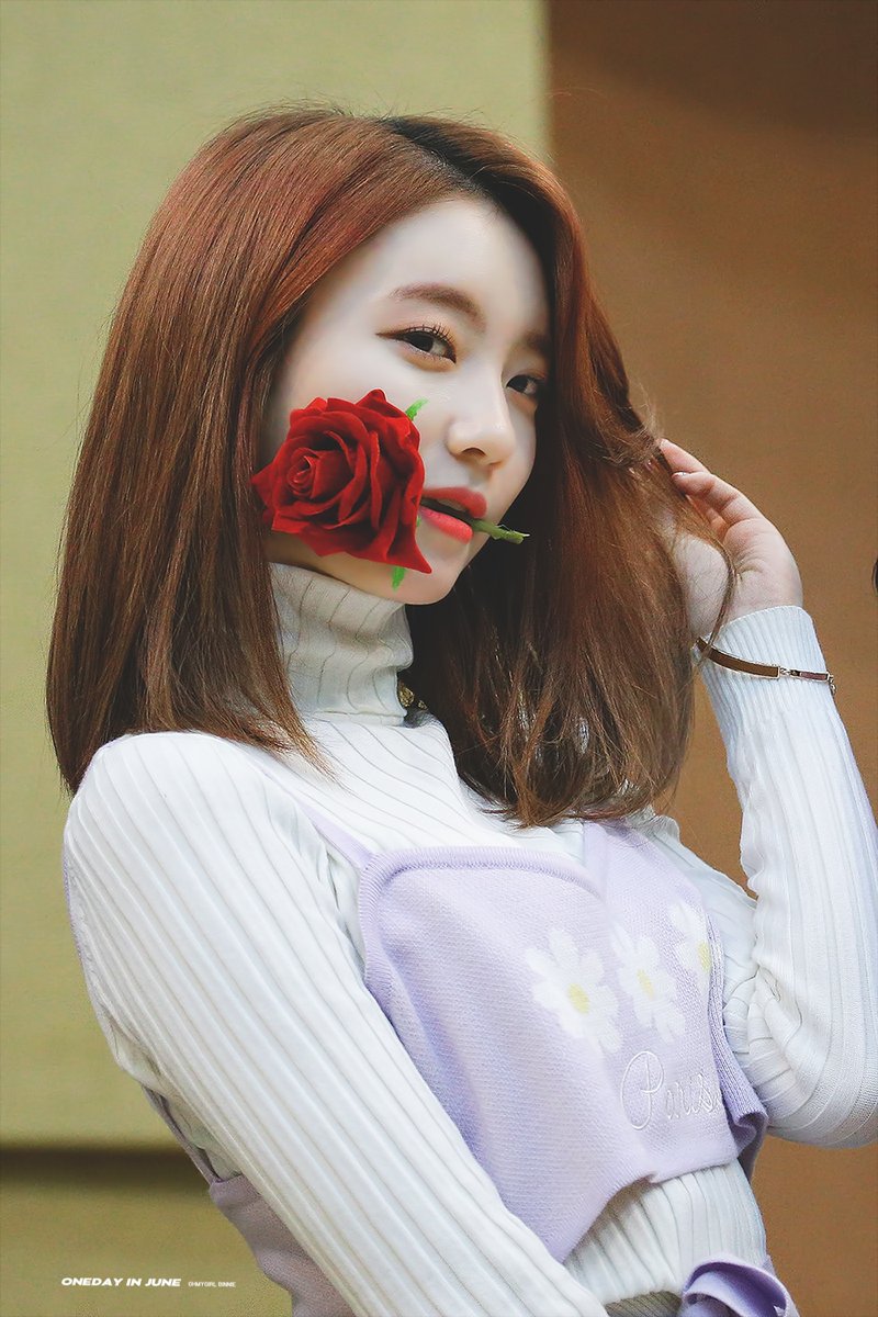 최근 사인회에서 장미 입에 문 오마이걸 비니.jpg | 인스티즈