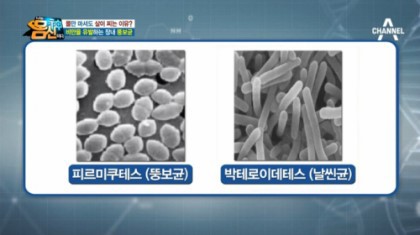 똑같이 먹어도 나만 살이찌는 이유 ...jpg | 인스티즈