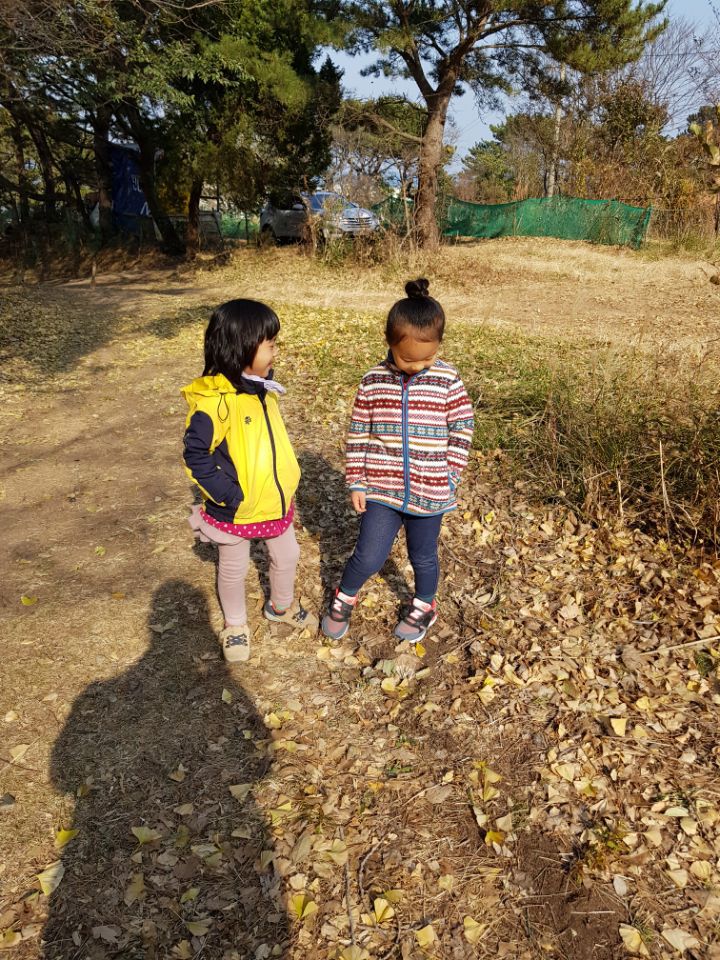 연이숲 이미지