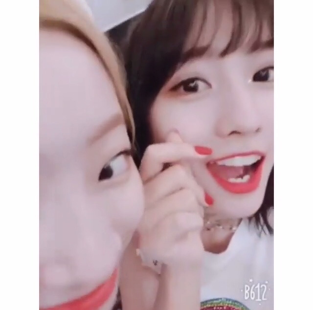 6/17 트와이스 두부한모.jpg | 인스티즈