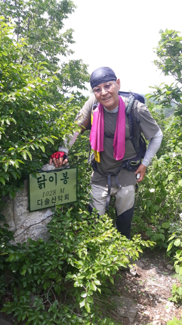 닭이봉 이미지