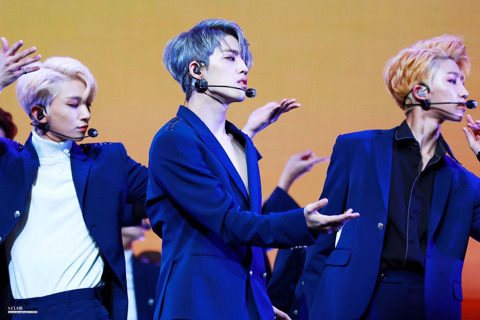 쿱스 이미지