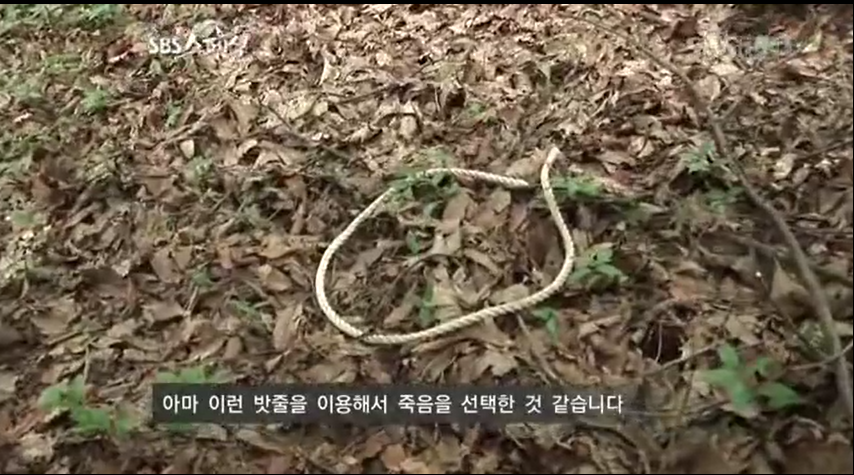 차린국수 이미지