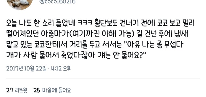 최시원 사건 이후 목줄을 해도 시비털리는 견주들 | 인스티즈
