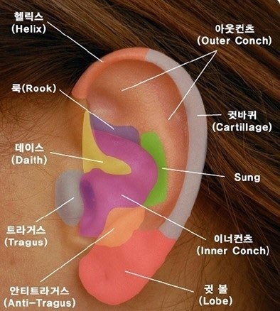 본인이 피어싱을 한다면 하고싶은 부위는? | 인스티즈