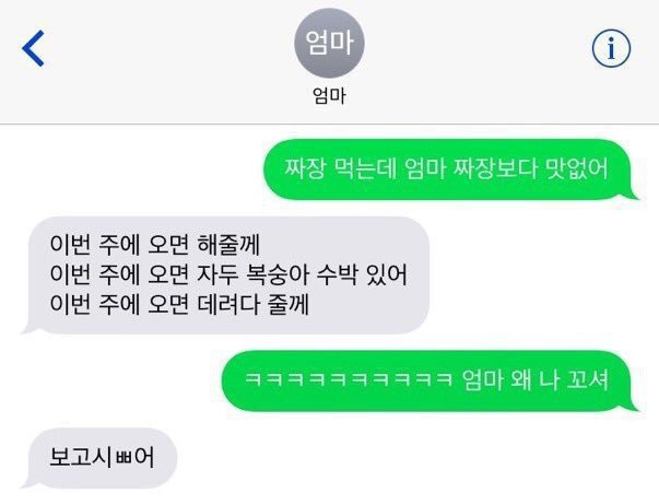 집에 오라고 꼬시는 엄마.jpg | 인스티즈