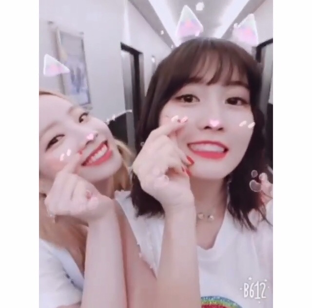 6/17 트와이스 두부한모.jpg | 인스티즈