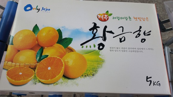 황금향 이미지