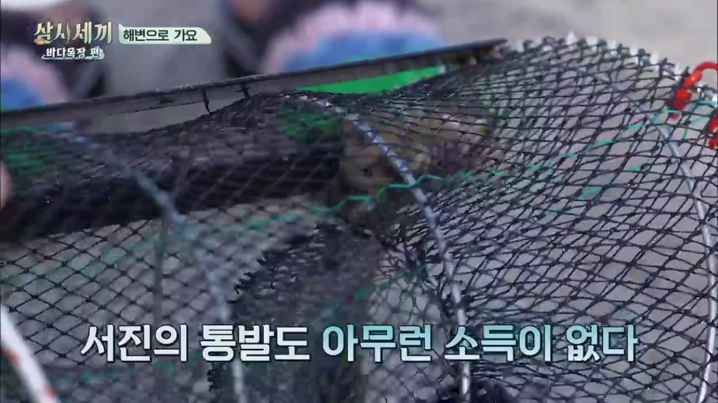 한지민을 물음표살인마로 만든 삼시세끼 역대급 비쥬얼 해신탕 | 인스티즈
