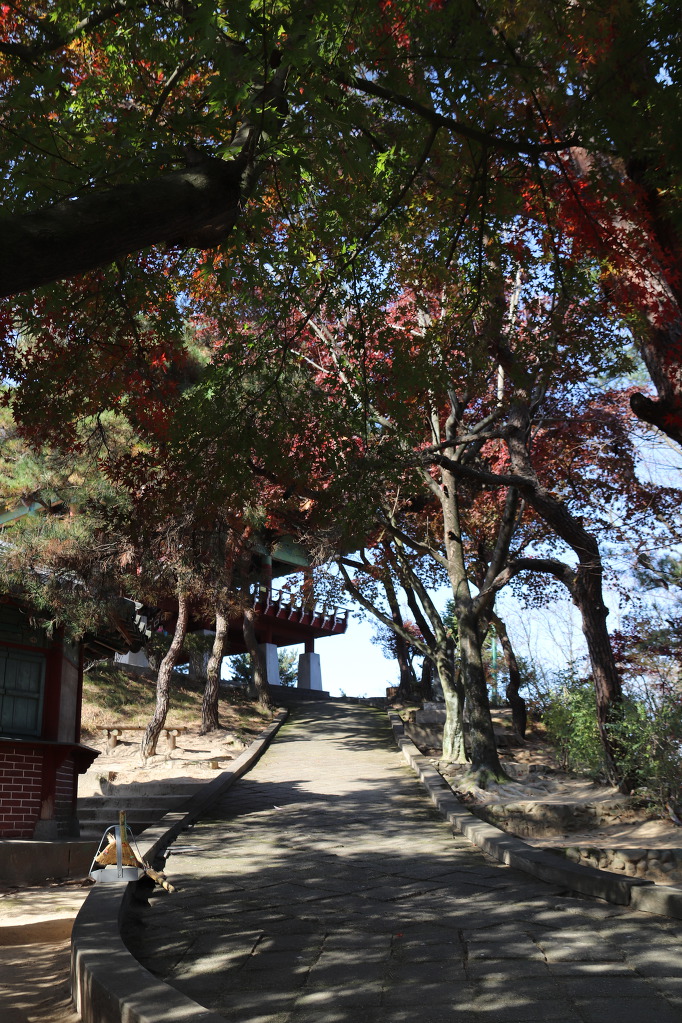 용호루 이미지
