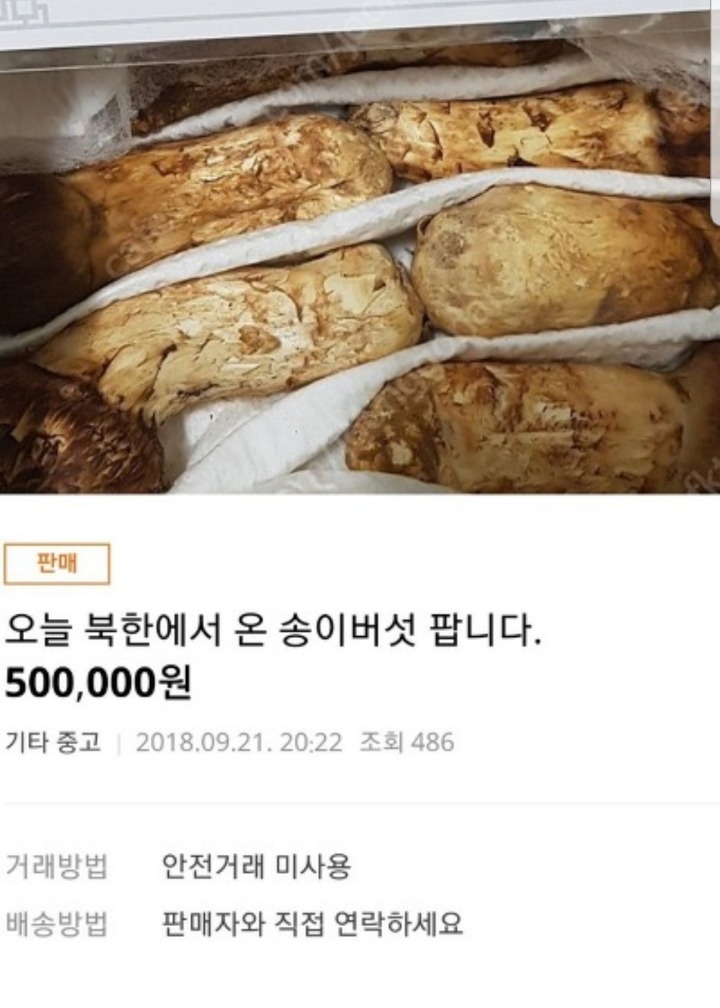 중고나라에 북한 송이버섯 올려서 욕먹는중 | 인스티즈