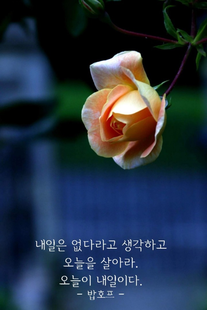 띵똥 이미지