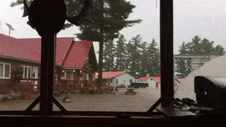 번개맞은 나무.GIF | 인스티즈