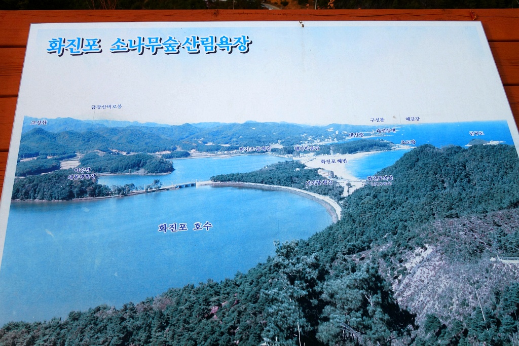 응봉 정상 이미지