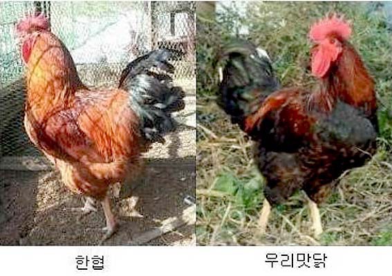 (주)동신축산 이미지