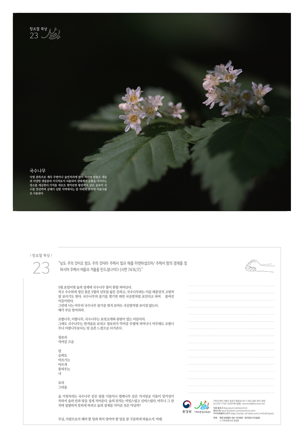국수나무 이미지