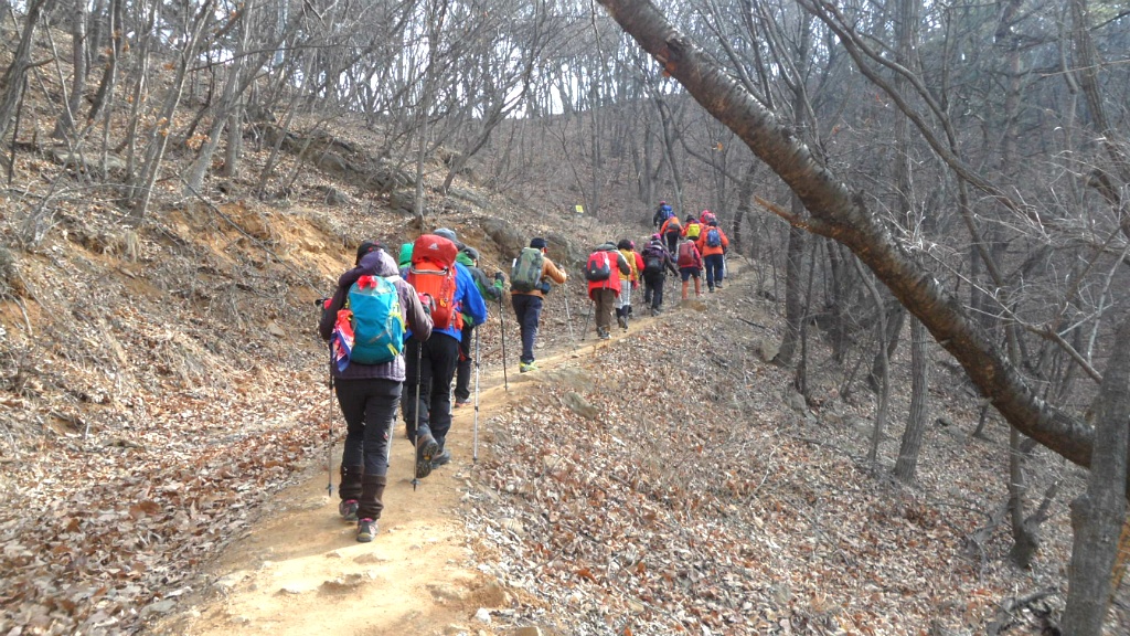 성산519 이미지
