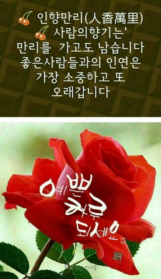 인향 이미지